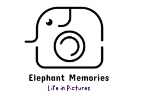 Elephant Memories